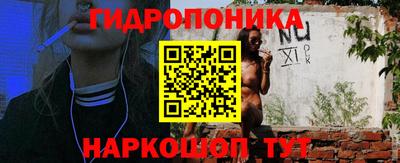 ешки Краснодар