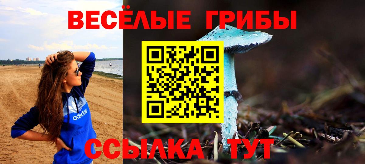 Галлюциногенные грибы Cubensis Королёв