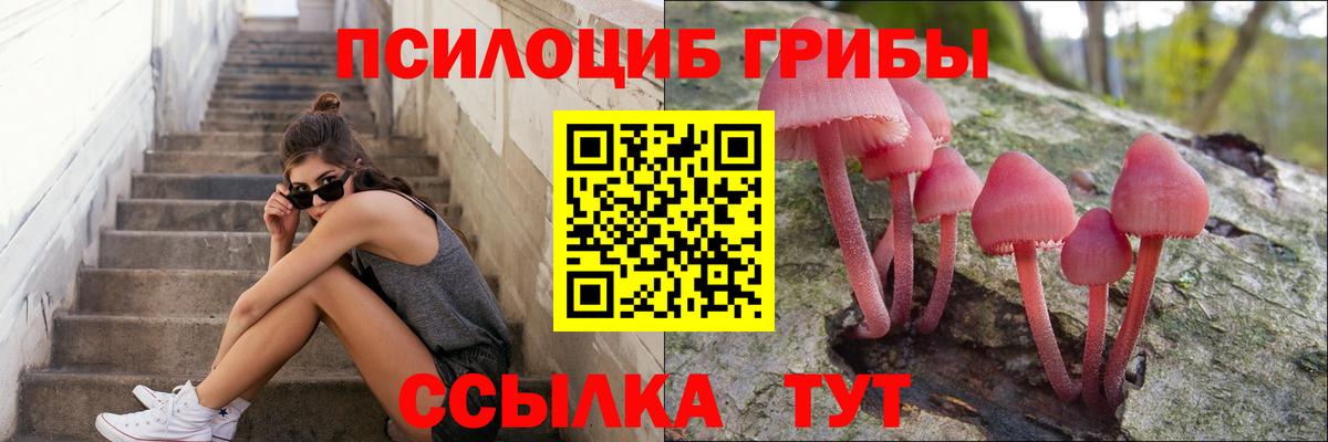 Псилоцибиновые грибы Magic Shrooms  Вход с VPN  Королёв 