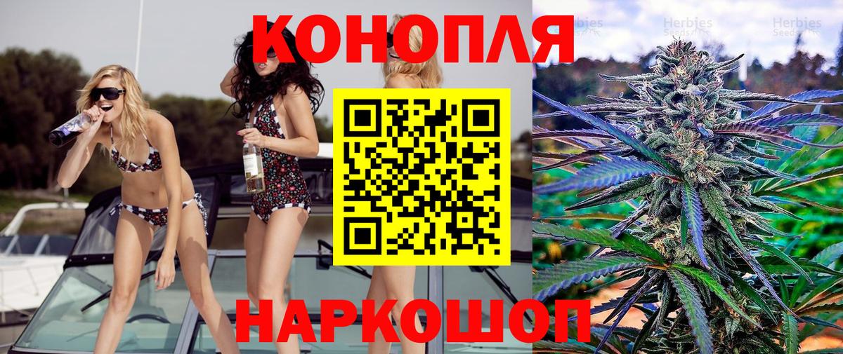 Бошки марихуана марихуана Королёв